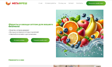 Скриншот сайта «МегаФрэш»