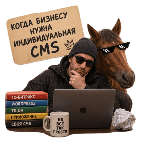 Когда бизнесу нужна индивидуальная CMS - разбираемся